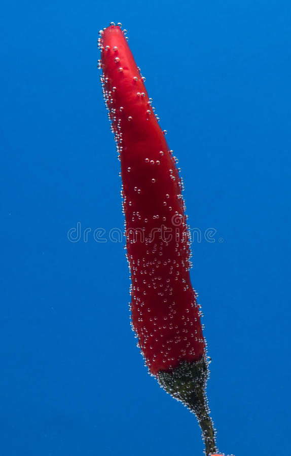 西甲-瓦拉内头槌双响魔笛立功,皇马3-0完胜赫塔费_ky开元电竞(图1) ky棋牌