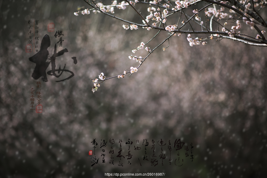 极简风格!宣布新的意甲标志_ky开元电竞(图2) ky棋牌