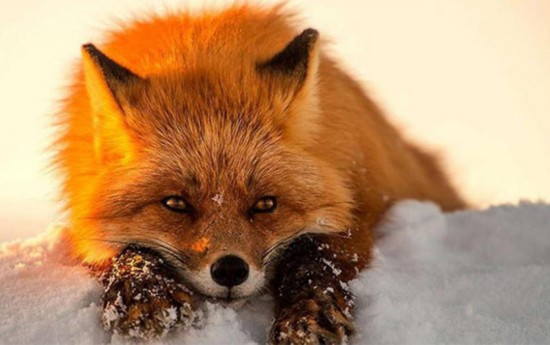 建十万亿大生态 我国将加快工业互联网建设【ky开元电竞】(图1) ky开元电竞