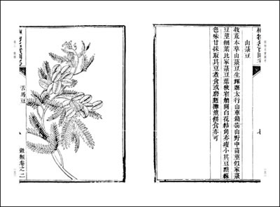 ky棋牌