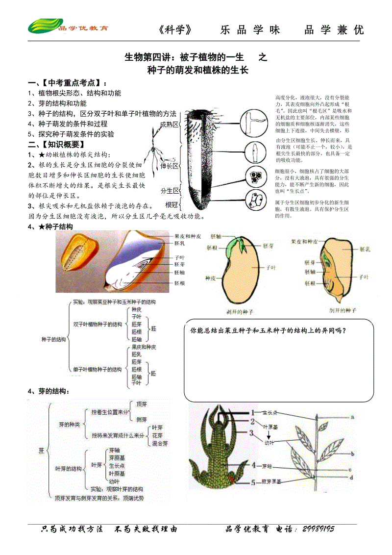 ky开元集团